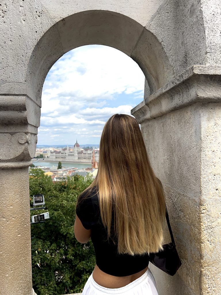 Fisherman's Bastion View Budapest